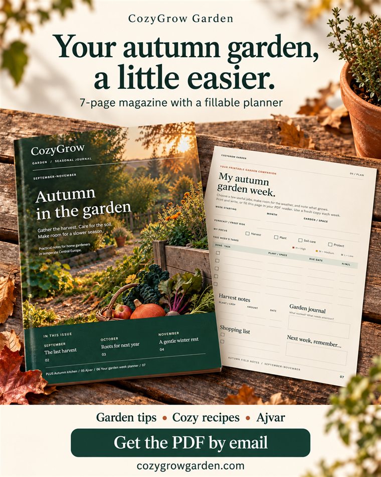 CozyGrow autumn garden magazine and seasonal garden inspiration